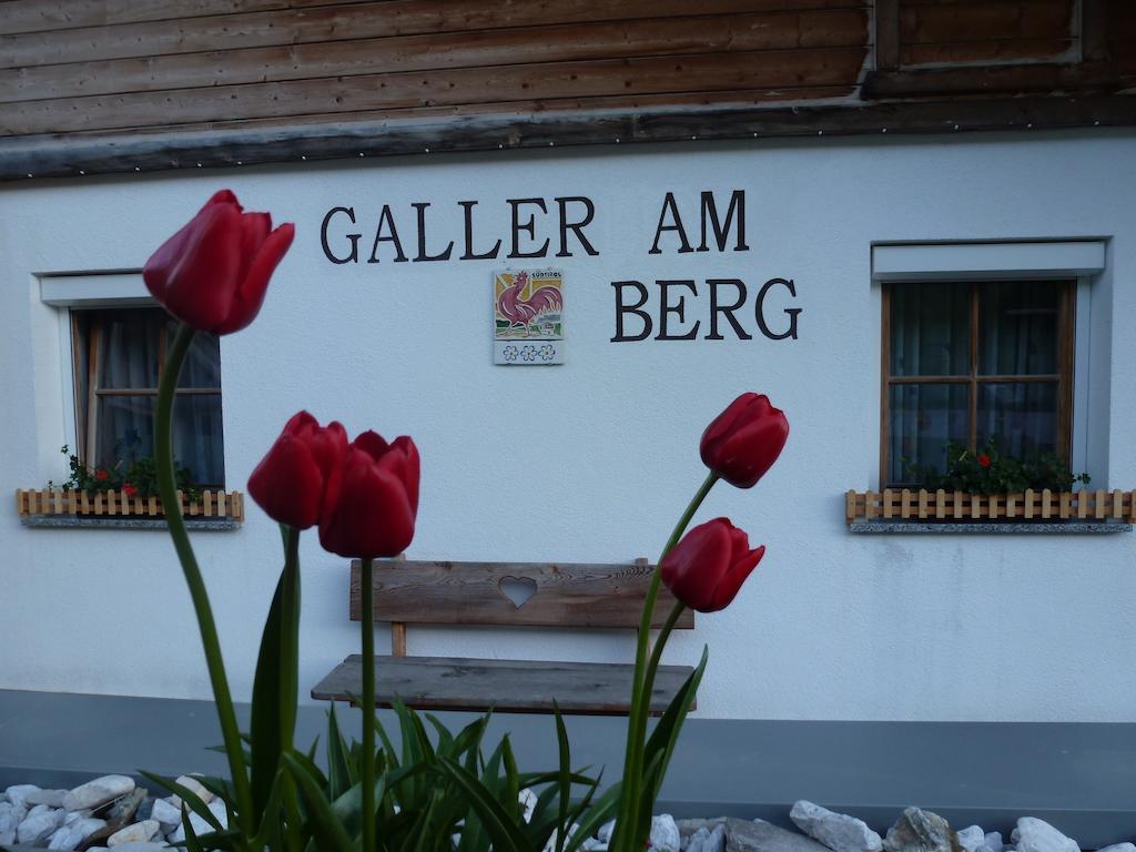 Galler Am Berg San Candido Exterior photo