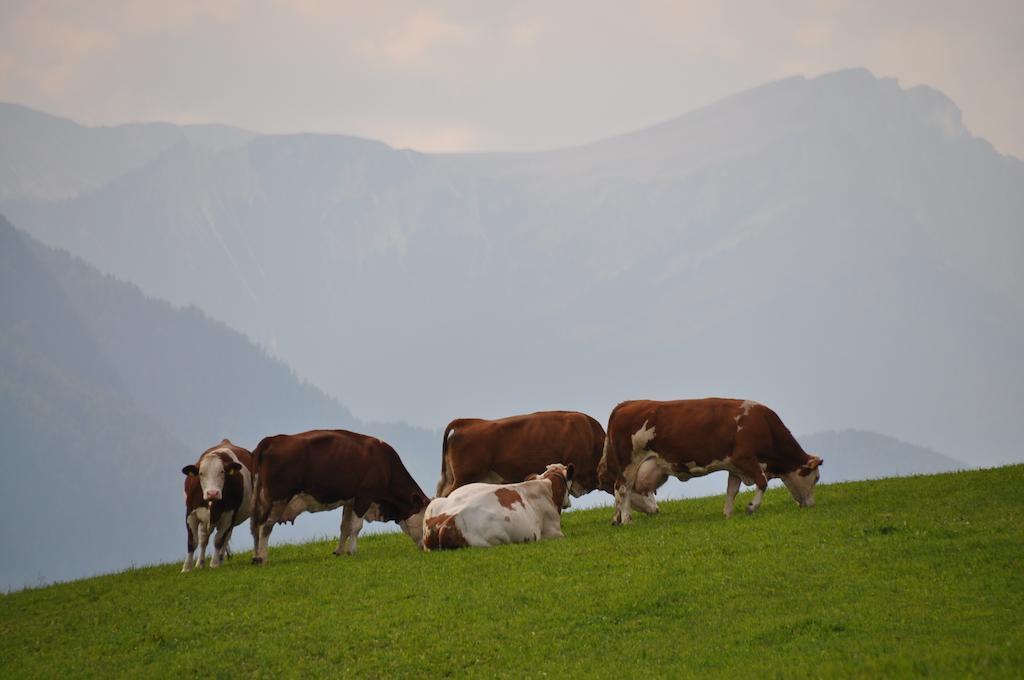 Galler Am Berg San Candido Exterior photo